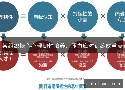 某组织核心心理韧性培养,压力应对训练成重点 某组织核心心理韧性培养,压力应对训练成重点